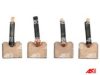 AS-PL SB5014 Carbon Brush, starter